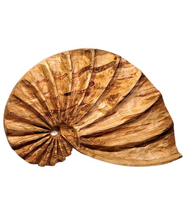 Wall Sculpture "Ambrosia Fibonacci Shell" by Andy DiPietro