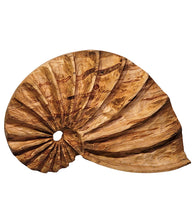 Wall Sculpture "Ambrosia Fibonacci Shell" by Andy DiPietro