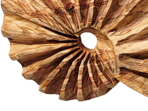 Wall Sculpture "Ambrosia Fibonacci Shell" by Andy DiPietro