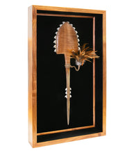 Hawaiian Weapon "Koa Stingray with Marlin Bill Shark Teeth"